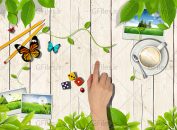 المان لایه باز طبیعی